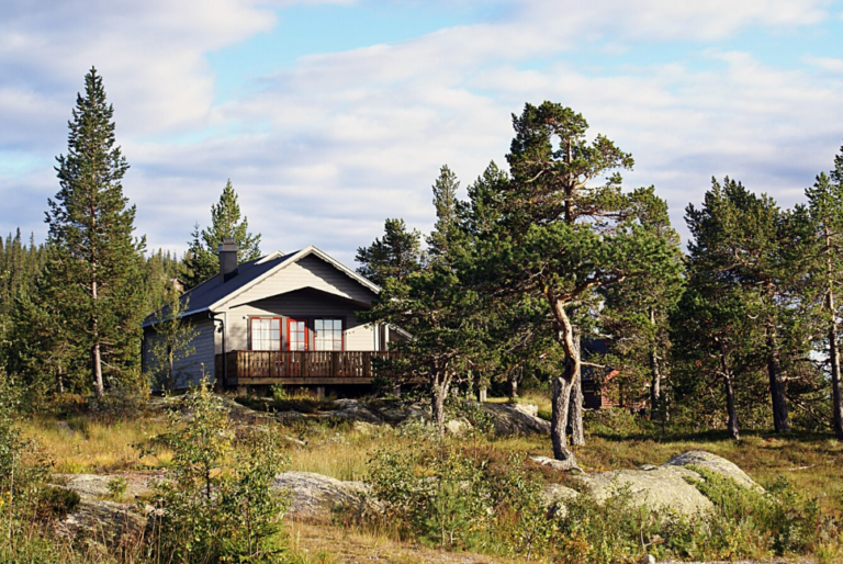Beyond the Waterfront: Uncovering Hidden Gems in Haliburton’s Real Estate Market