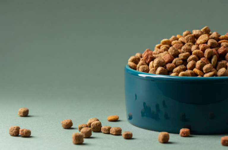 Top 5 Premium Dog Food Brands Loved by Vets and Pet Owners